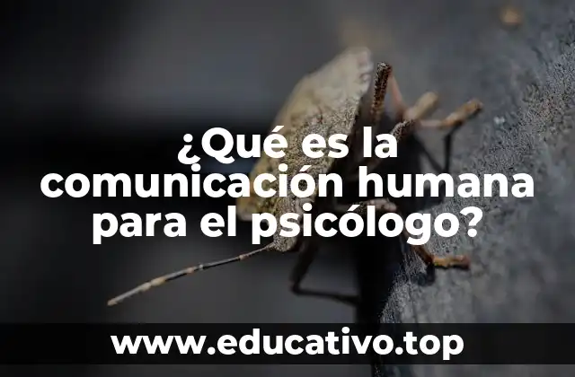 ¿Qué es la comunicación humana para el psicólogo?