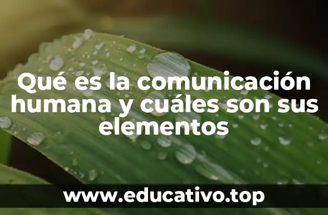 Qué es la comunicación humana y cuáles son sus elementos