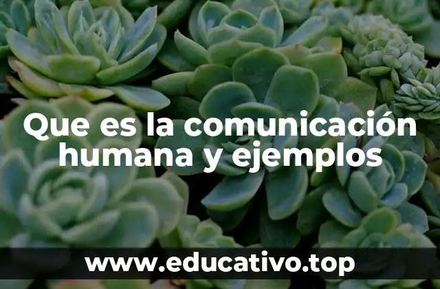 Que es la comunicación humana y ejemplos