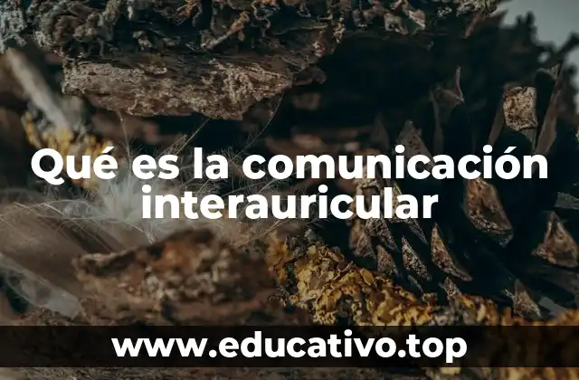 Qué es la comunicación interauricular