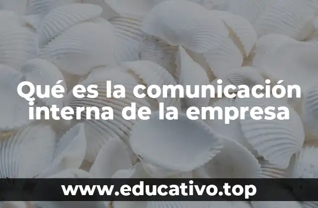Qué es la comunicación interna de la empresa