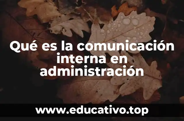 Qué es la comunicación interna en administración