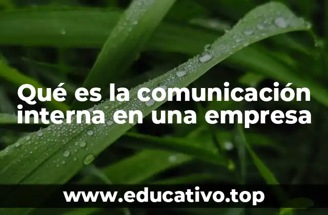 Qué es la comunicación interna en una empresa