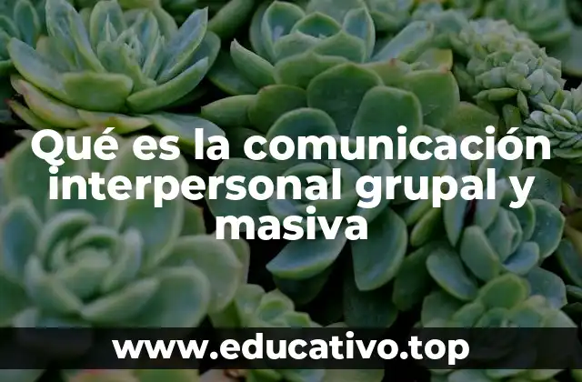 Qué es la comunicación interpersonal grupal y masiva