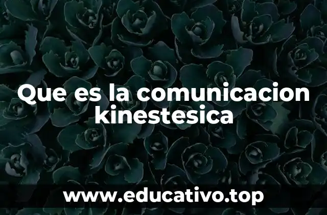Que es la comunicacion kinestesica