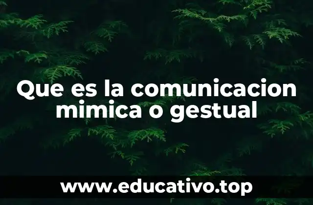 Que es la comunicacion mimica o gestual