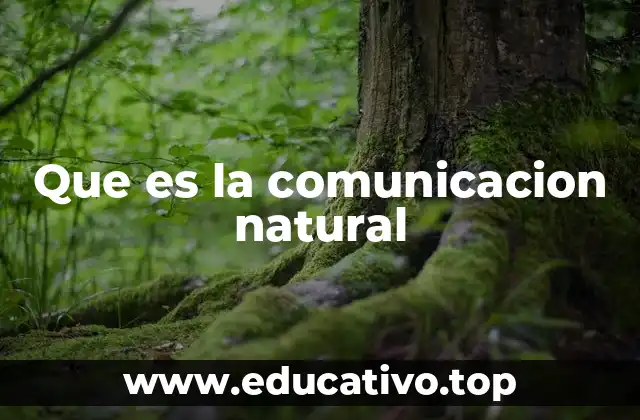Que es la comunicacion natural