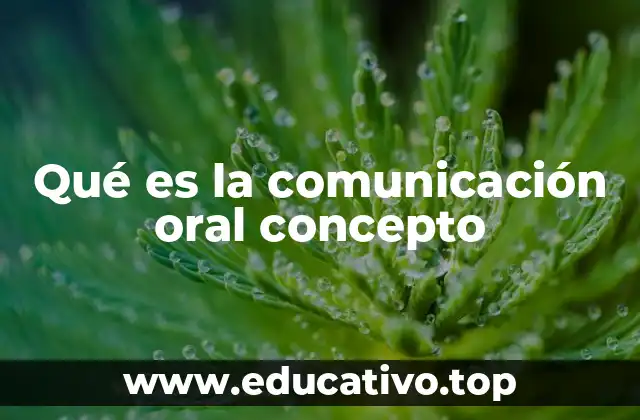 Qué es la comunicación oral concepto