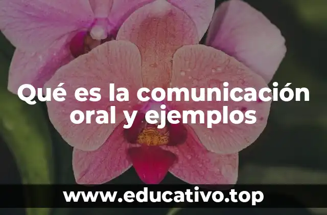 La importancia de la expresión verbal en la vida cotidiana