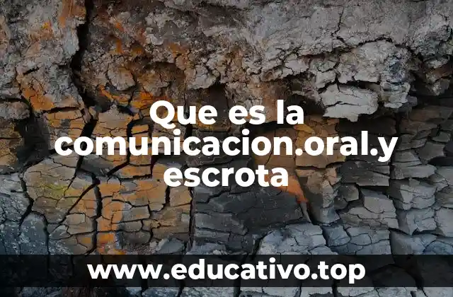 La importancia de las formas de expresión en la sociedad moderna