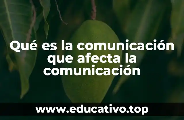 Qué es la comunicación que afecta la comunicación