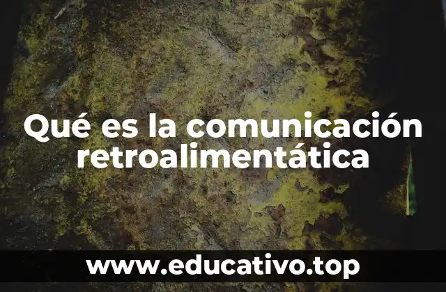 Qué es la comunicación retroalimentática