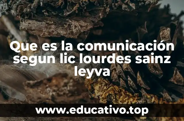 Que es la comunicación segun lic lourdes sainz leyva