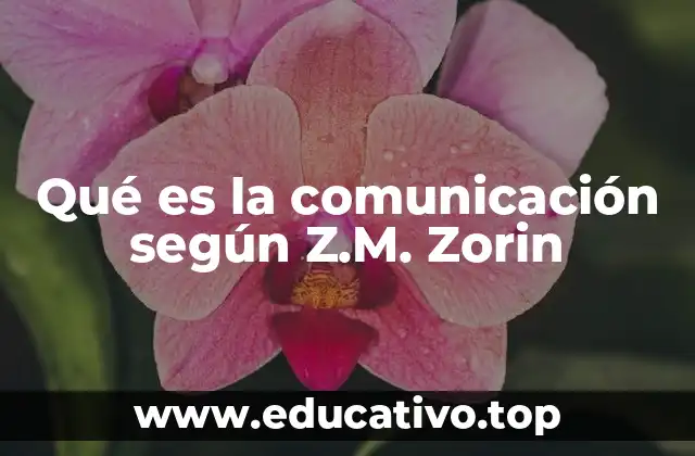 Qué es la comunicación según Z.M. Zorin
