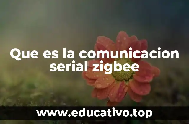 Que es la comunicacion serial zigbee