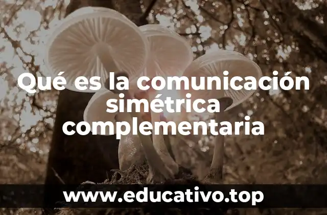 Qué es la comunicación simétrica complementaria