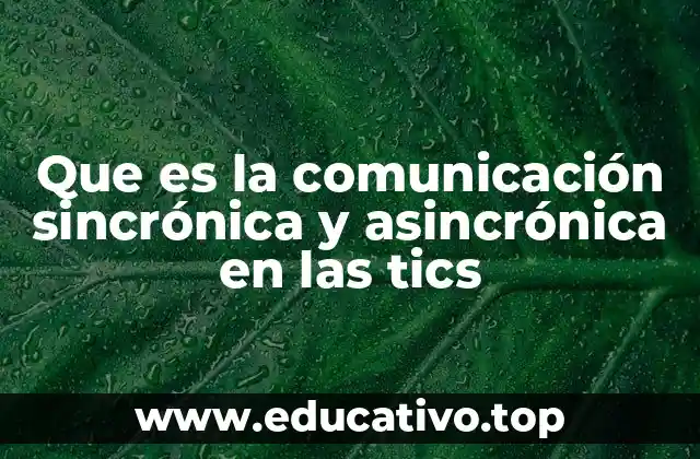 Que es la comunicación sincrónica y asincrónica en las tics