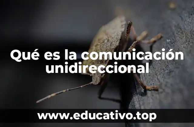 Qué es la comunicación unidireccional