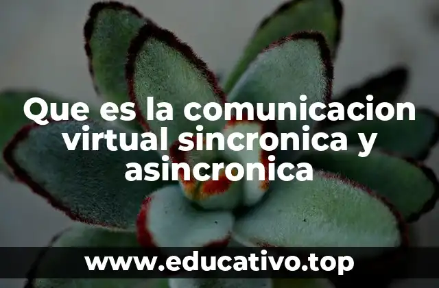 Que es la comunicacion virtual sincronica y asincronica
