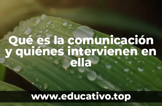 Qué es la comunicación y quiénes intervienen en ella