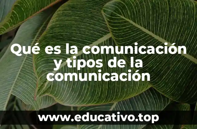 La importancia de la comunicación en la vida moderna