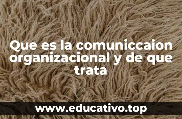 Que es la comuniccaion organizacional y de que trata