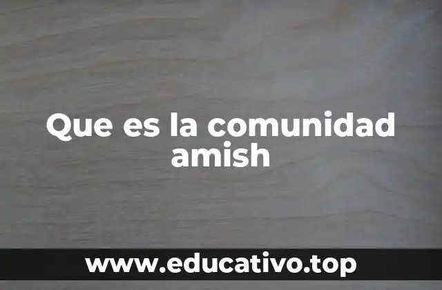 Que es la comunidad amish