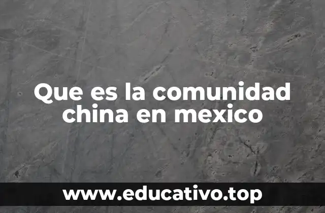 Que es la comunidad china en mexico