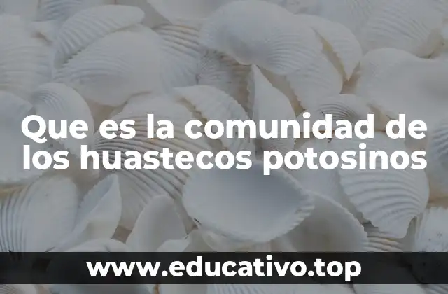 Que es la comunidad de los huastecos potosinos