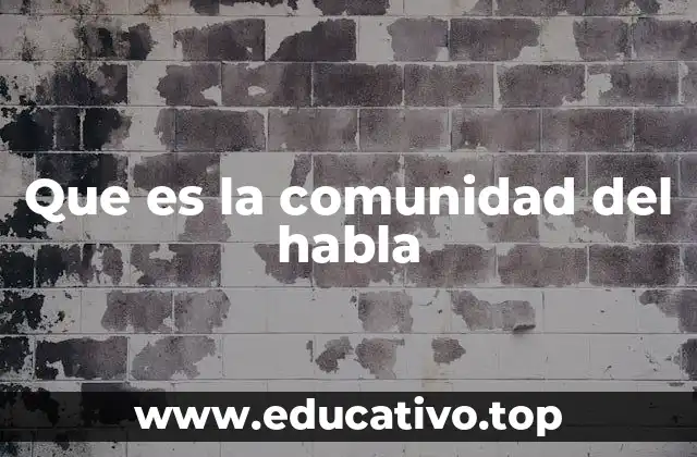 Que es la comunidad del habla