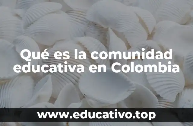 Qué es la comunidad educativa en Colombia
