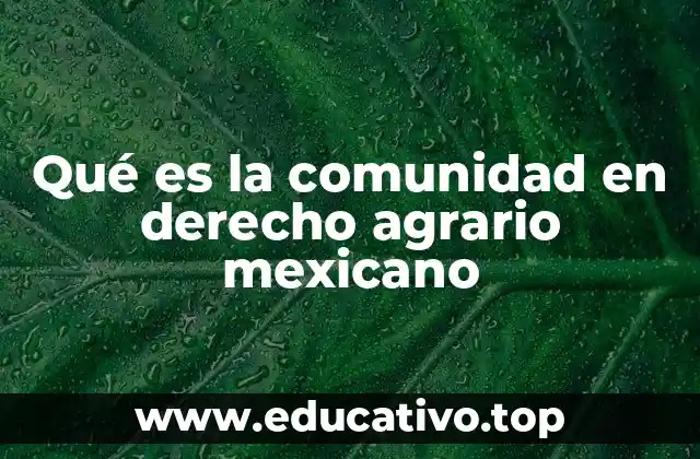 El papel de las comunidades en la organización rural mexicana
