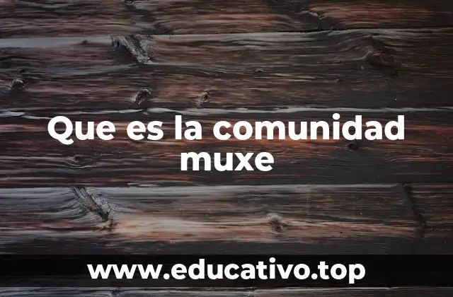Que es la comunidad muxe