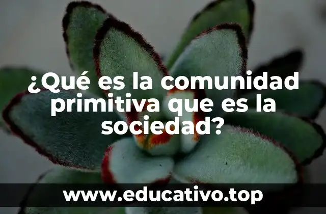 ¿Qué es la comunidad primitiva que es la sociedad?