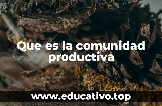 Que es la comunidad productiva