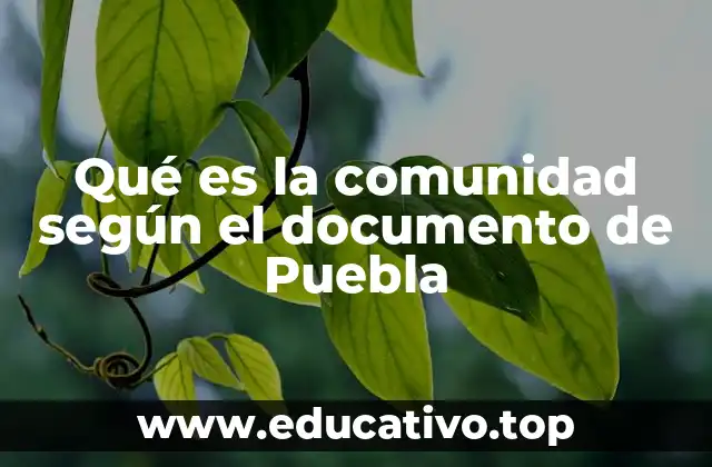 Qué es la comunidad según el documento de Puebla