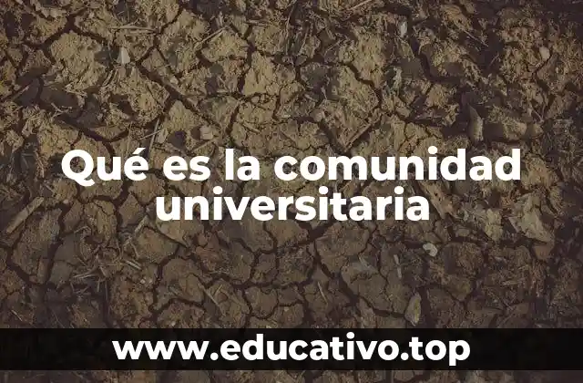 Qué es la comunidad universitaria