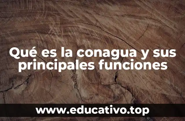 La importancia de la gestión hídrica en México