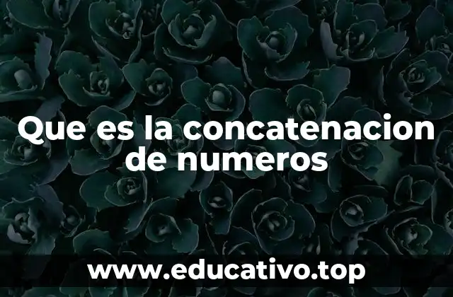 Que es la concatenacion de numeros