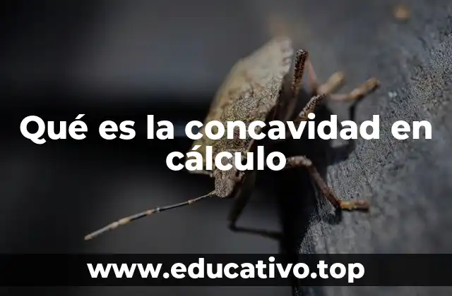 Qué es la concavidad en cálculo