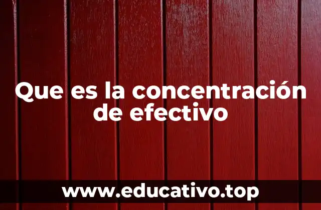 Que es la concentración de efectivo