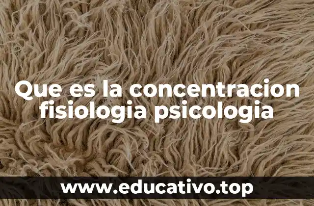 La concentración como un proceso integrador de mente y cuerpo