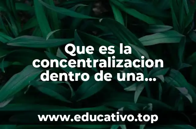 Que es la concentralizacion dentro de una organizacion