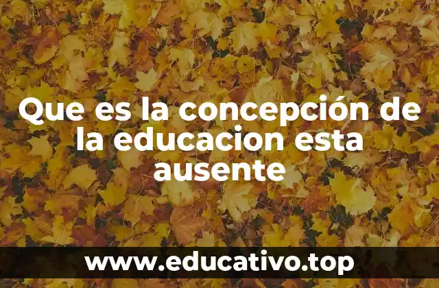 Que es la concepción de la educacion esta ausente