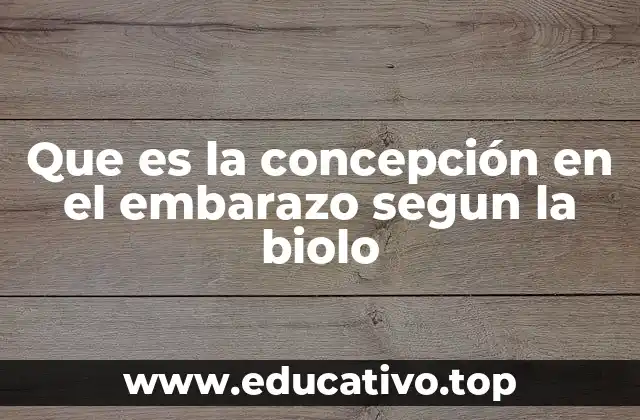 Que es la concepción en el embarazo segun la biolo
