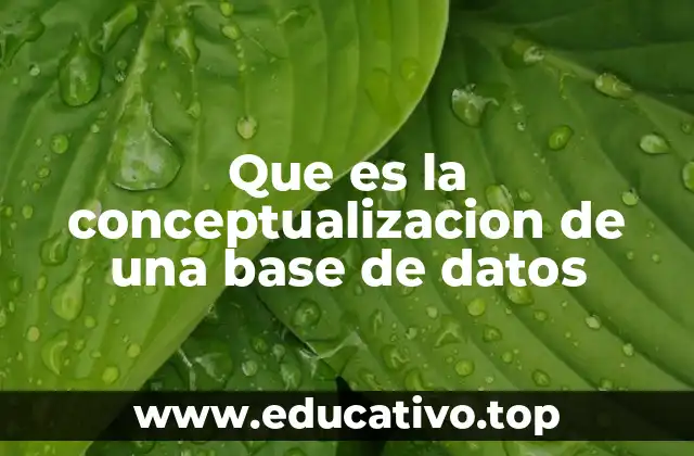 Que es la conceptualizacion de una base de datos