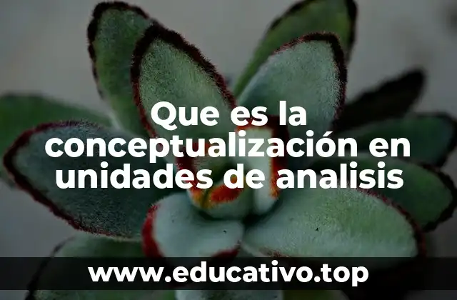 Que es la conceptualización en unidades de analisis