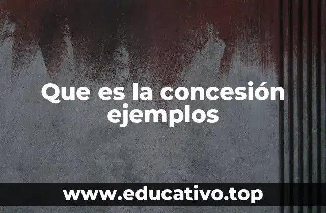 Que es la concesión ejemplos