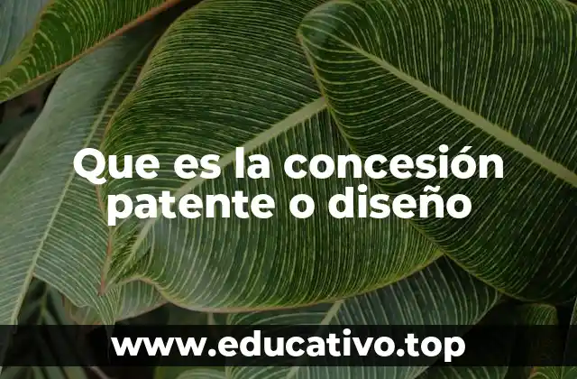Que es la concesión patente o diseño