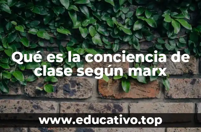 Qué es la conciencia de clase según marx